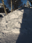 thumbs/05_Schizomida1.png