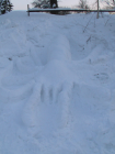 thumbs/05_Schizomida2.png