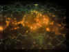 Detail pnho ezu stonkem vodnky, autofluorescence