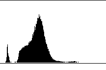 Histogram / TM4