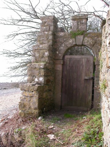 Photograph