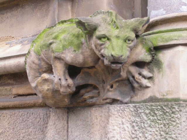 Photograph