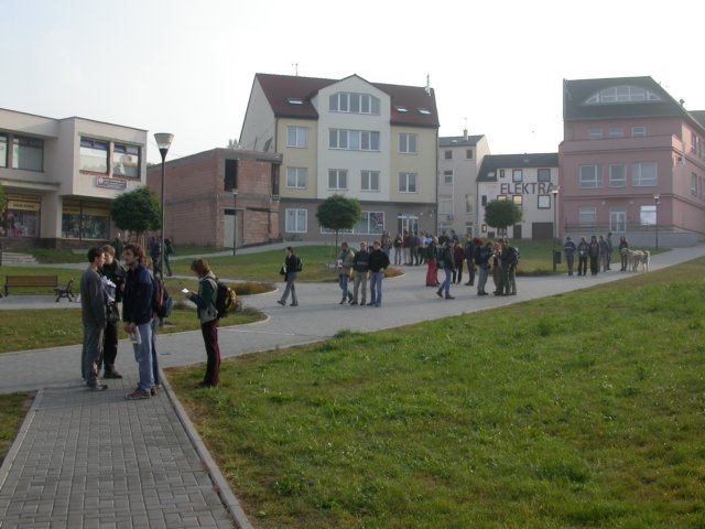 Photograph