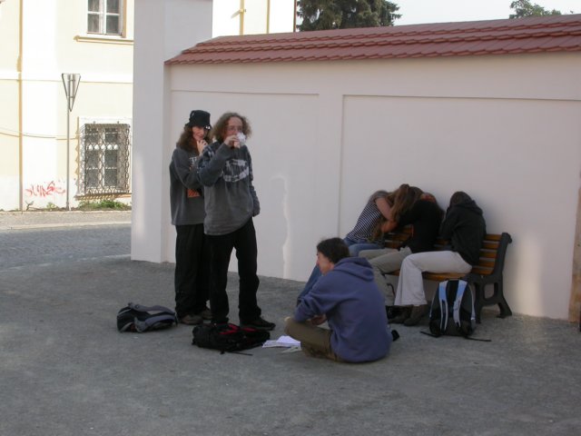 Photograph