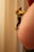 Photo Number 2