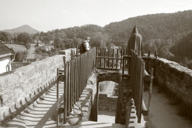 Photograph
