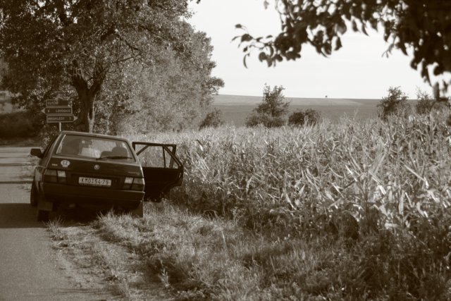 Photograph