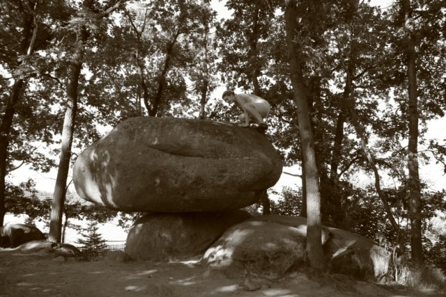 Photograph