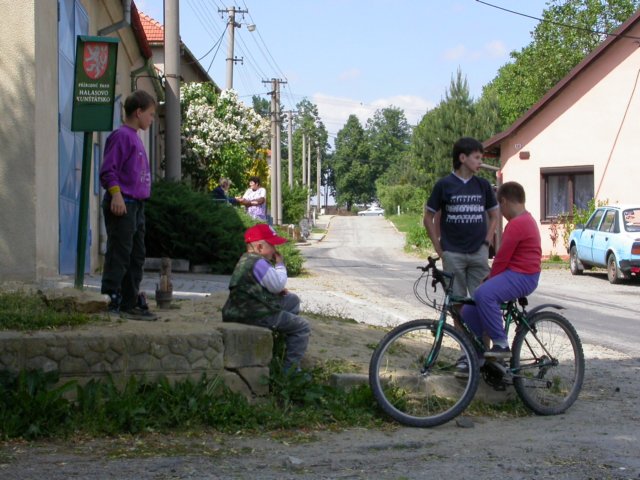 Photograph