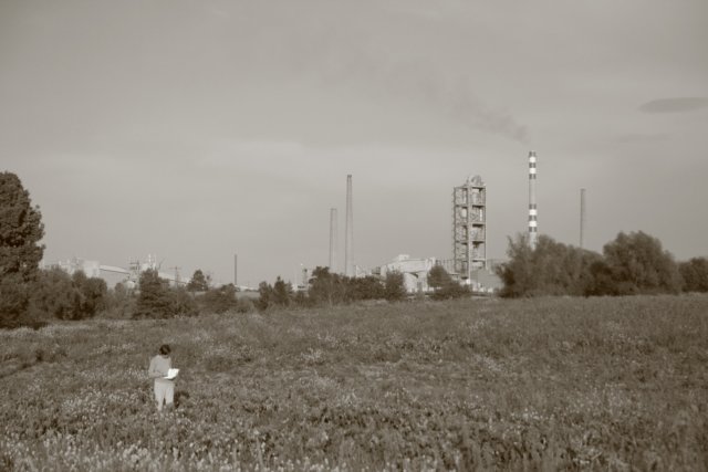 Photograph