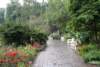 Photo Number 4