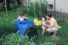 Photo Number 16