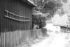 Photo Number 13