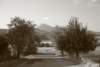 Photo Number 7