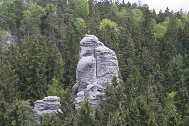 Photograph