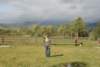 Photo Number 5