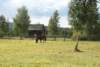 Photo Number 6