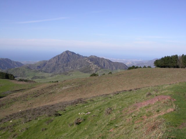Photograph