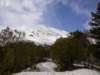 Photo Number 8