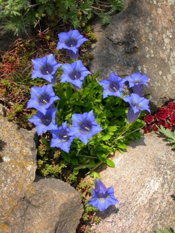 Photograph