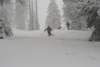 Photo Number 13