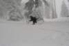 Photo Number 14