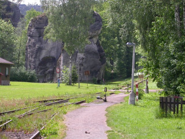 Photograph
