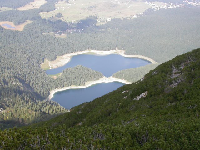 Photograph