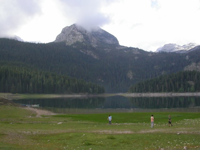 Photograph