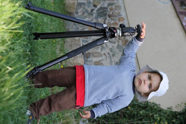 Photograph