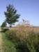 Photo Number 4
