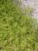 Photo Number 6