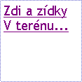 Textov pole: Zdi a zdkyV ternu...