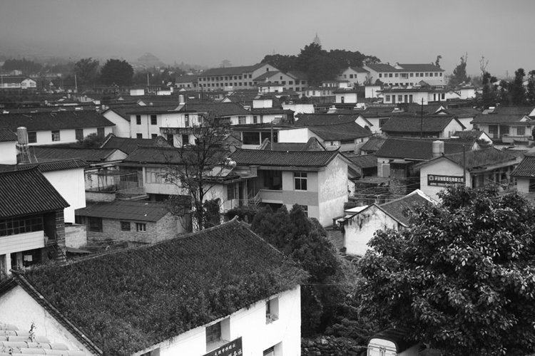 dalihouses.jpg