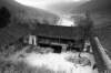 farmyardtigerleapinggorge_small.jpg
