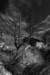 hoveltigerleapinggorge_small.jpg