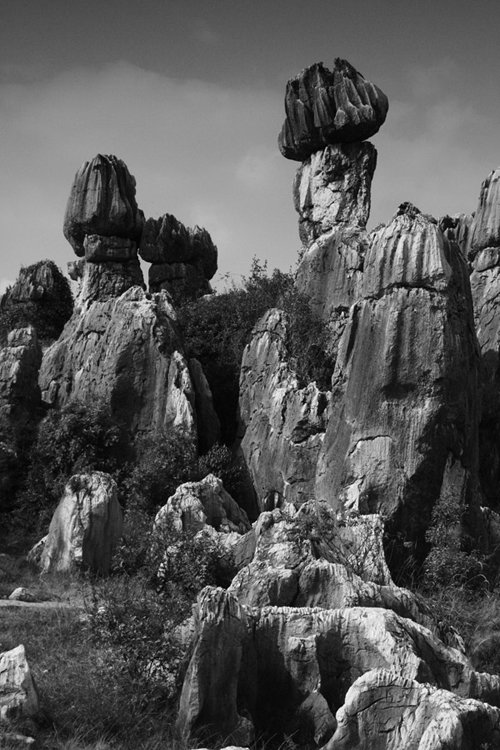 lotusflowerstoneforestshilin.jpg