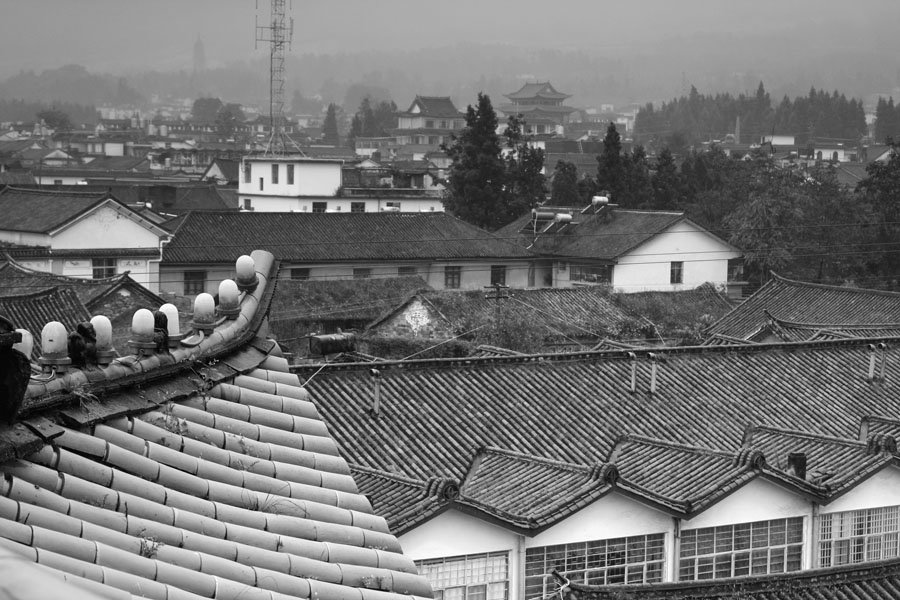 roofsdali.jpg