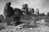 stoneforestshilinii_small.jpg