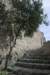 Photo Number 8